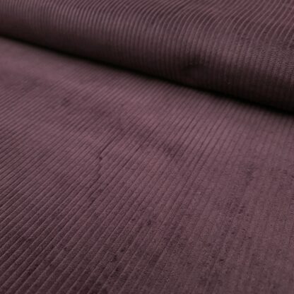 breitcord violett