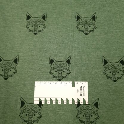jersey fox